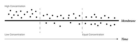 Image result for Cellular Diffusion