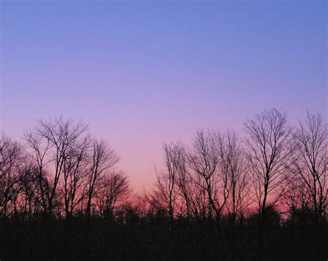 Buy PINK Dawn-fine Art Print, Nature Photography, Sunrise Picture ...