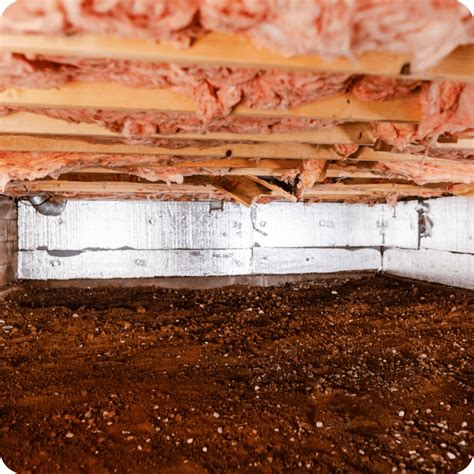 Seasonal Crawl Space Maintenance Tips for Tennessee Homes - TFS ...
