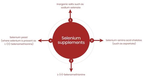 Image result for Complement Selenium