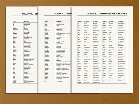 Mastering Medical Terms: Your Ultimate Guide to a Medical Terminology ...