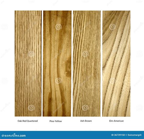 Oak, Pine,Ash.Elm Real Wood Samples, Isolated Stock Photo - Image of ...