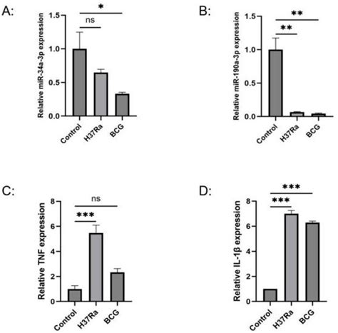 Analysis of Key miRNA/mRNA Functional Axes During Host Dendritic Cell ...