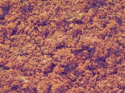 Image result for Coco Peat Sticker High Resolution