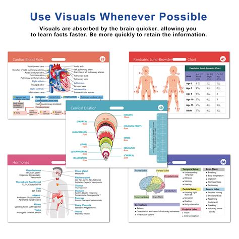 49 Horizontal Nursing Badge Reference Cards, Nursing School Essentials ...