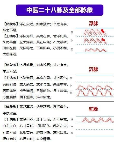 中医“把脉”的原理是什么？小学生都看懂了！-搜狐