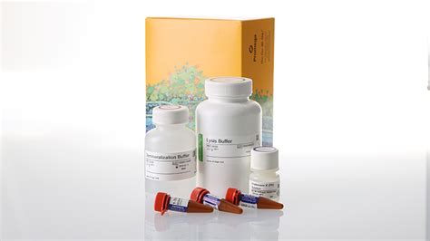 Bone DNA Extraction Kit