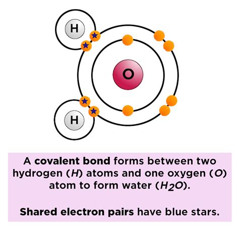 Nonpolar Covalent Bond Diagram