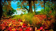 3d Hd Images by 3d Hd Nature Images Free Pixelstalk Net 3d Hd Images