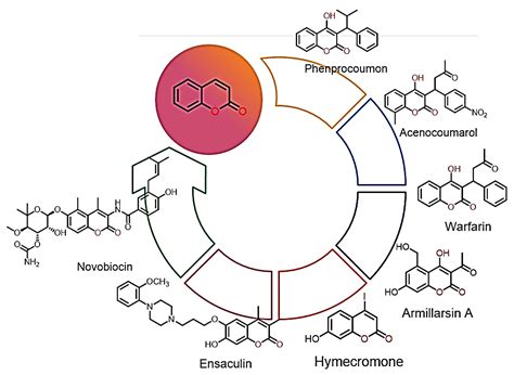 Molecular Insights into Coumarin Analogues as Antimicrobial Agents ...