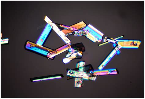 Extended Physicochemical Characterization of the Synthetic ...