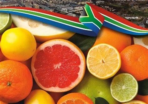 South Africa Launches Major Campaign to Boost Citrus Exports to India ...