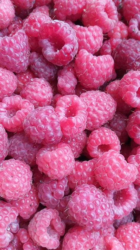 Pink Raspberries - Color Inspiration