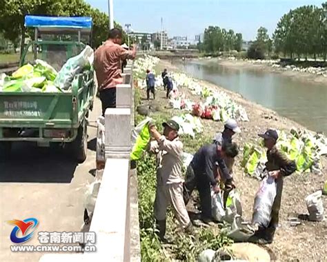 河道护岸——仿木桩挡土墙的应用及优点_cm--