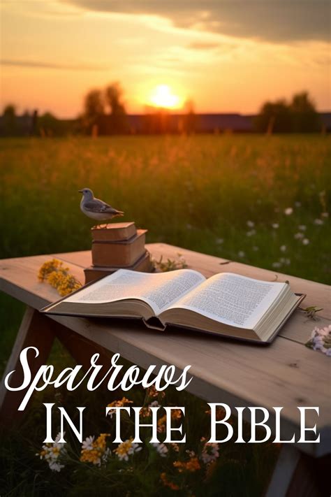 The Meaning of Sparrows in the Bible | Hymns and Verses