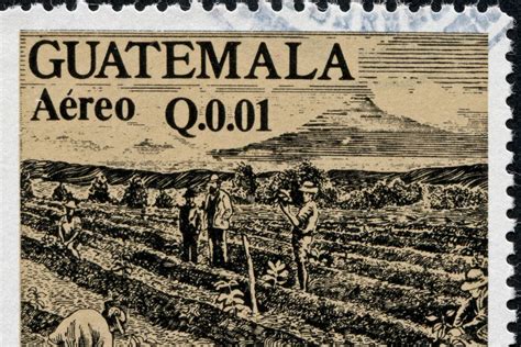 31 FUN & Interesting Facts About Guatemala