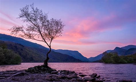 LLYN PADARN (2025) All You Need to Know BEFORE You Go (with Photos ...