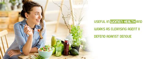 Buy The Old Natural Papaya Leaf Extract Tablets 60 Tablets I papaya ...