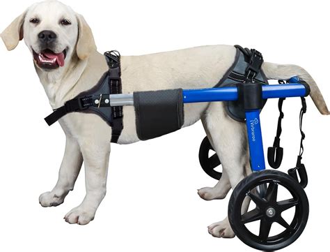 Virbraroo Dog Wheelchair for Back Legs, Upgraded All-Terrain Tires ...