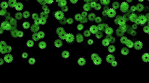 Image result for Falling Flower Animation