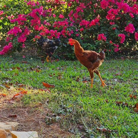 LA POSADA DE SAUCE - Lodge Reviews & Photos - Tripadvisor