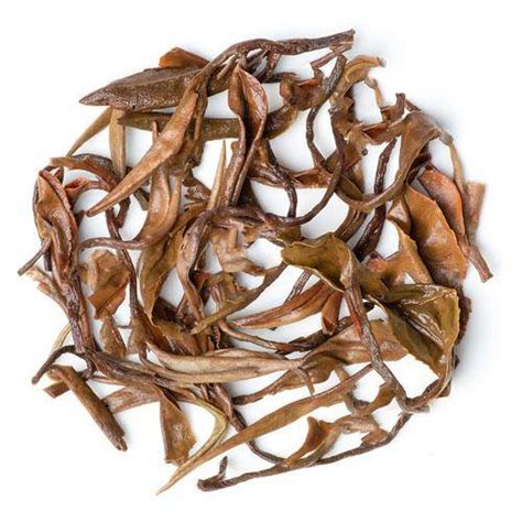 Mayukh Tea - Castleton Moonlight Second Flush Tea – Darjeeling Connection