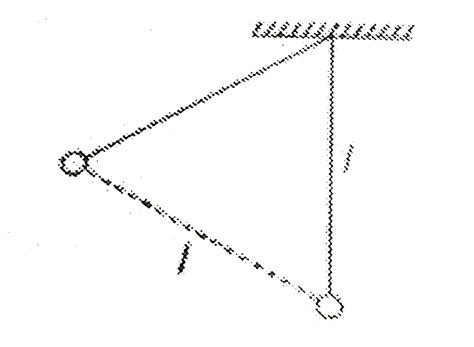 A bob hangs from a rigid support by an inextensible string of length `l ...