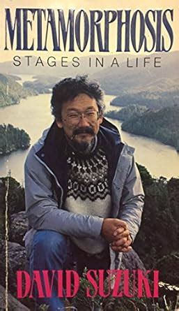 Metamorphosis Stages in Life : Amazon.in: Books