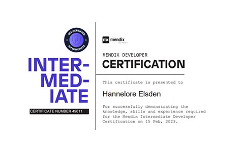 Mendix Learning Path 的图像结果