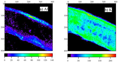 Localization of Aluminum in Epidermal Cells of Mature Tea Leaves