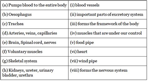 Lakhmir Singh and Manjit Kaur Solutions: Skeletal and Nervous System ...
