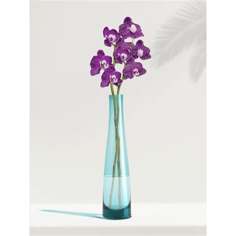 Buy NATURALLY YOURS Dark Blue Glasswares Vase Online