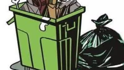 RWAs take the lead in segregating waste, but some challenges remain ...