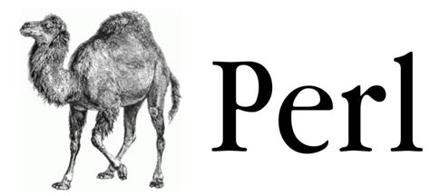 Image result for Perl Computer Program Language