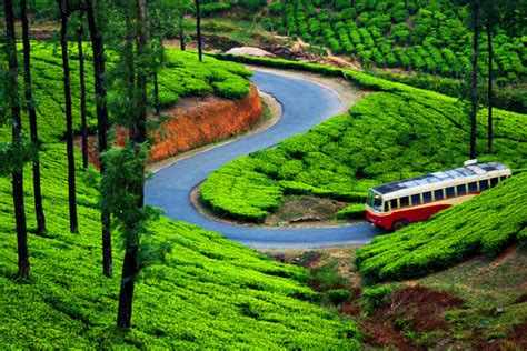 Munnar, India - places to see in Munnar, best time to visit, reviews ...