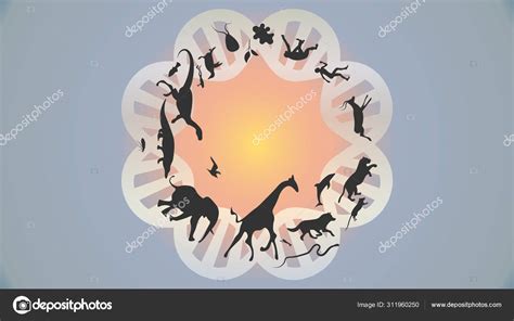 Image result for Evolution Vector