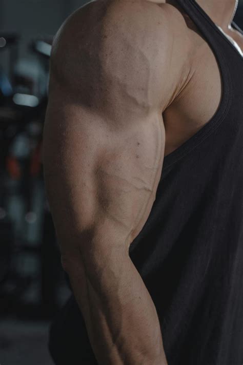 Target Your Long Head Tricep with These 7 Must-Do Exercises