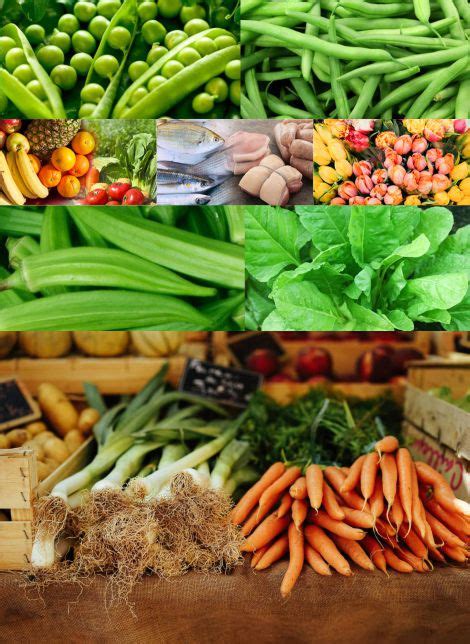 Cargo Care Logistics, Navi Mumbai – 400705