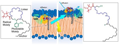 Molecular Machines and Microrobots: Nanoarchitectonics Developments and ...