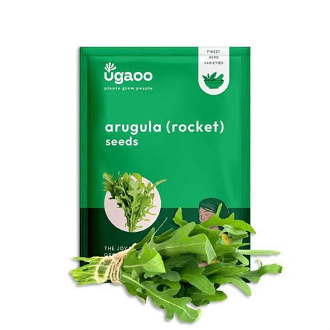 UGAOO Rocket Arugula Herb Seeds (Green, Pack of 1000) : Amazon.in ...