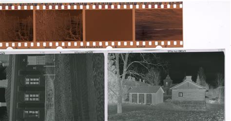 Image result for DIY Negative Scan