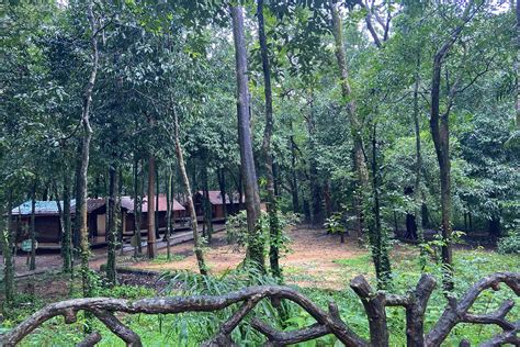 Anejhari Butterfly Camp: Gateway To The Mookambika Wildlife Sanctuary ...