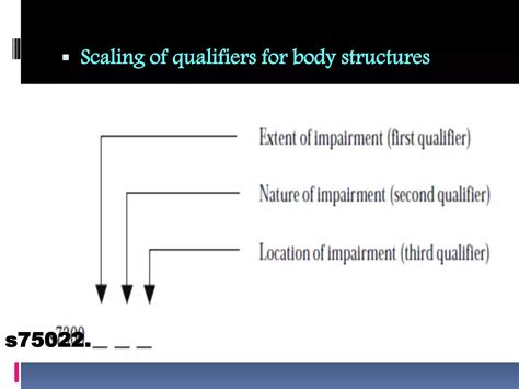 Image result for International Classification of Functioning and Disability Goals Structure