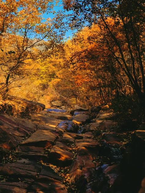 Things to Do in Fangcheng in 2025 - Top Attractions, Local Food, Hotels ...