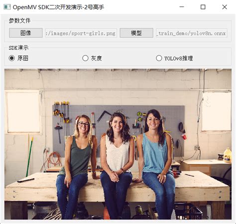 PyQT5构建YOLOv8界面应用程序-电子工程专辑