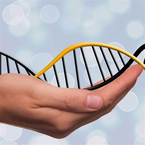 Free DNA Analysis Online with Sequencing.com | Sequencing.com