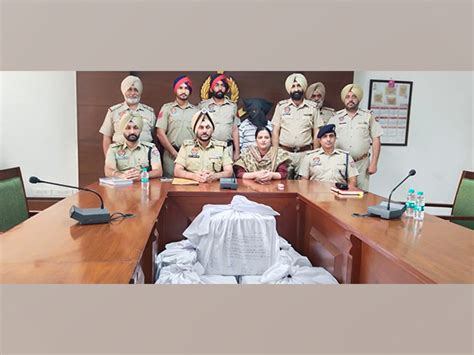 Punjab police bust inter-state drug cartel, one held with 2.51 lakh ...