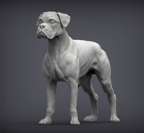 🐕 Boxer dog 3D print model・ 3D File for 3D printing・Cults