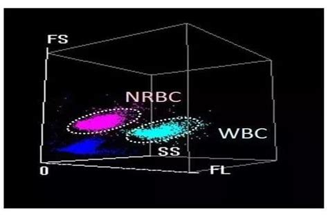 Small Cube, Big Difference: Mindray New SF Cube Technology (I ...