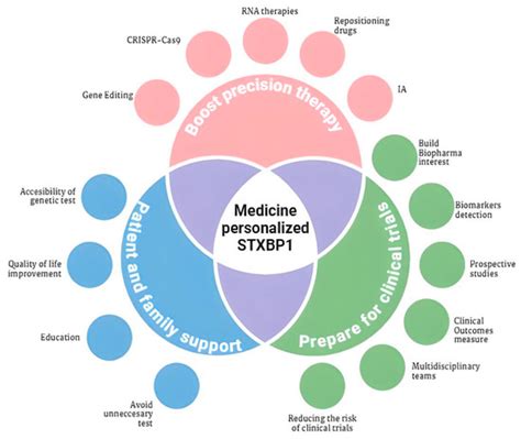 STXBP1 Syndrome: Biotechnological Advances, Challenges, and ...